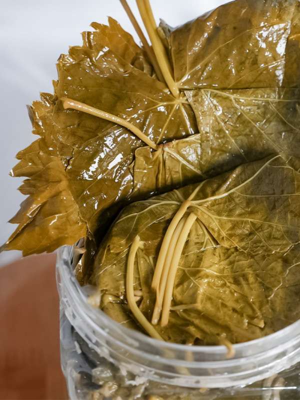 Salamura Uç Yaprak 1kg