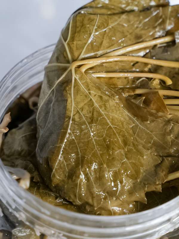 Salamura Uç Yaprak 1kg